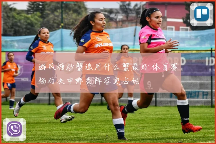 避风塘炒蟹选用什么蟹最好 体育赛场对决中哪类阵容更占优
