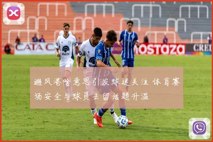 避风港啥意思引发球迷关注 体育赛场安全与球员去留话题升温