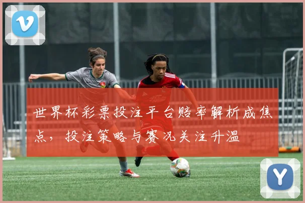 世界杯彩票投注平台赔率解析成焦点,投注策略与赛况关注升温