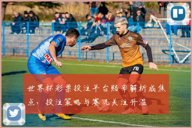 世界杯彩票投注平台赔率解析成焦点,投注策略与赛况关注升温