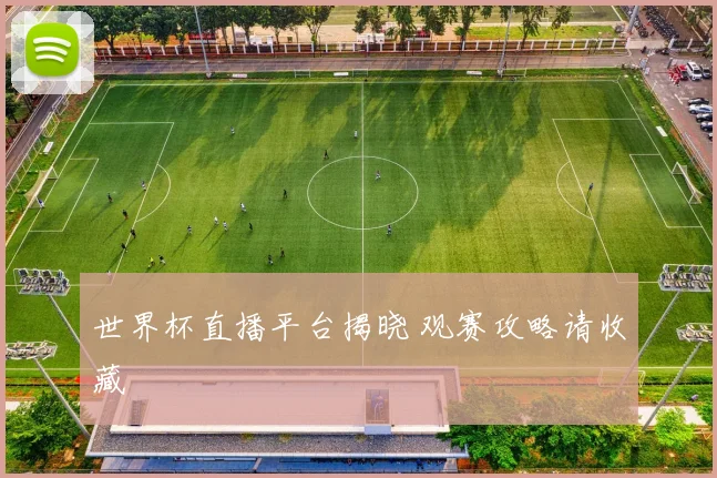 世界杯直播平台揭晓 观赛攻略请收藏