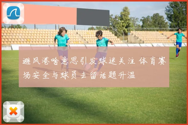 避风港啥意思引发球迷关注 体育赛场安全与球员去留话题升温
