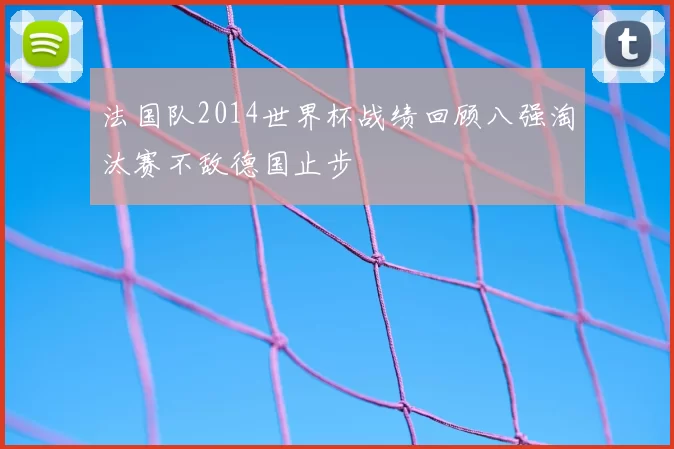 法国队2014世界杯战绩回顾八强淘汰赛不敌德国止步