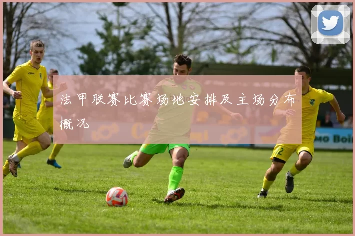 法甲联赛比赛场地安排及主场分布概况