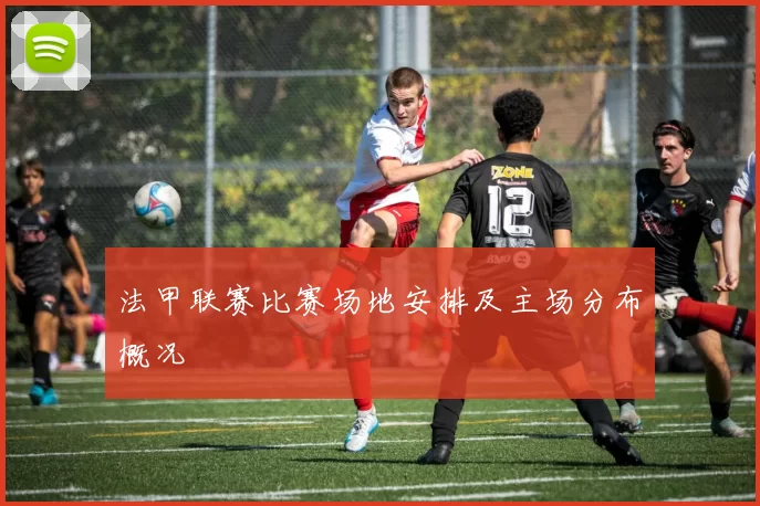 法甲联赛比赛场地安排及主场分布概况