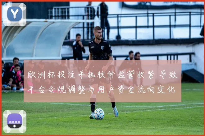 欧洲杯投注手机软件监管收紧 导致平台合规调整与用户资金流向变化