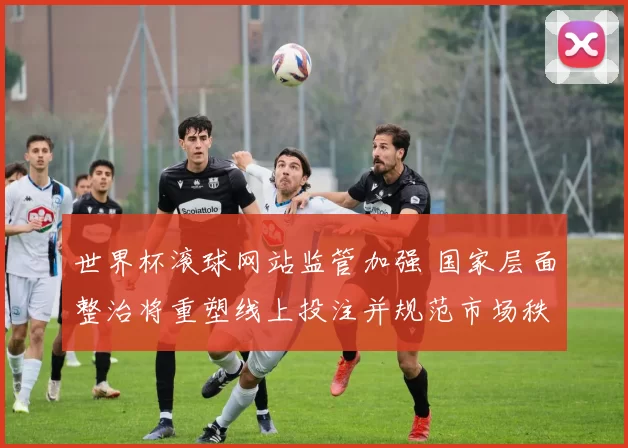 世界杯滚球网站监管加强 国家层面整治将重塑线上投注并规范市场秩序