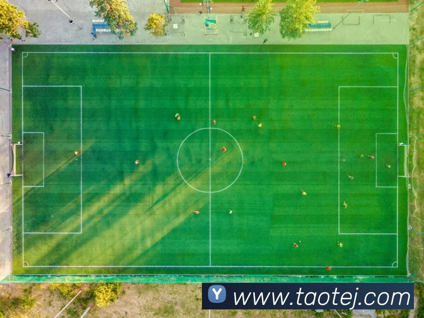 完美体育·(中国)官方网站 - WM SPORTS品牌故事